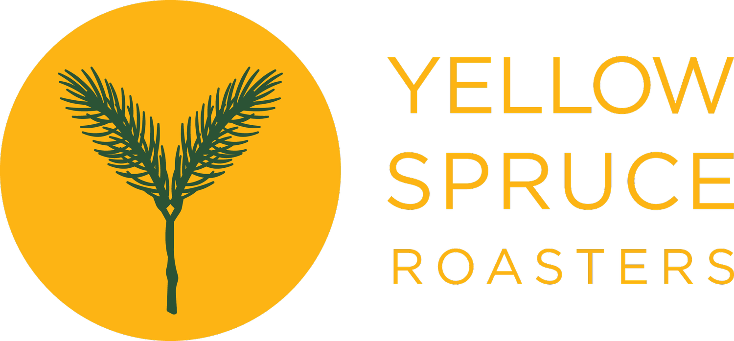 Yellow Spruce Roasters